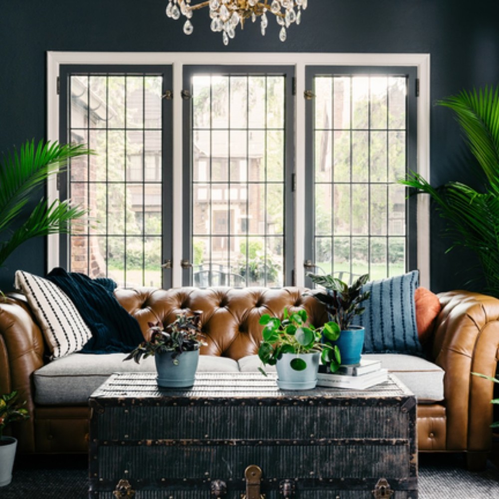 Meet your Posher, Carla